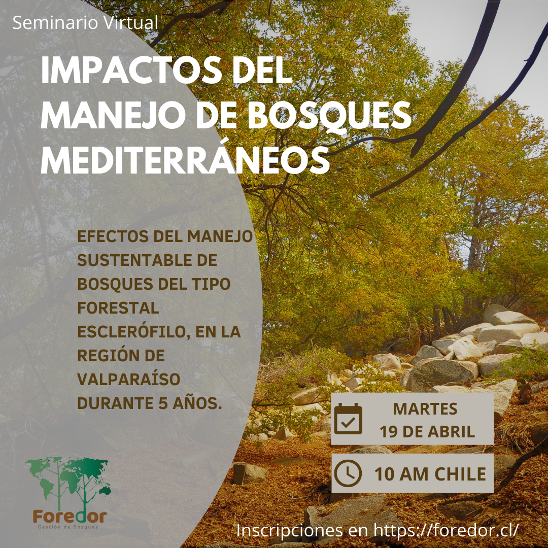 Seminario virtual: Impacto del manejo en el bosque Mediterráneo.