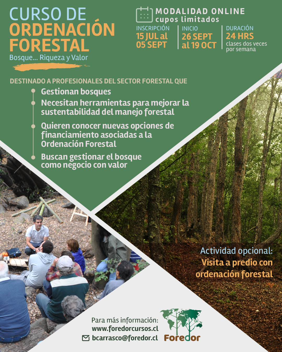 Curso de Ordenación Forestal 2022