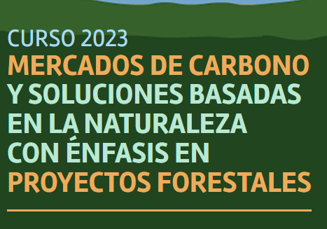 VERRA y FOREDOR realizan Curso de Mercados de Carbono 2023