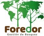 Foredor