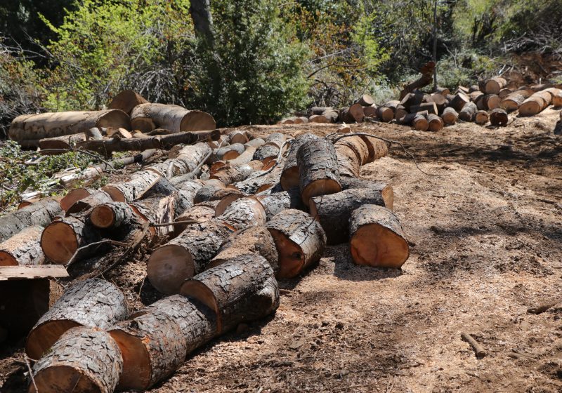 Estudios de Recursos Naturales